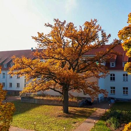 Parkresidenz Lychen, Ferienwohnung 8 المظهر الخارجي الصورة