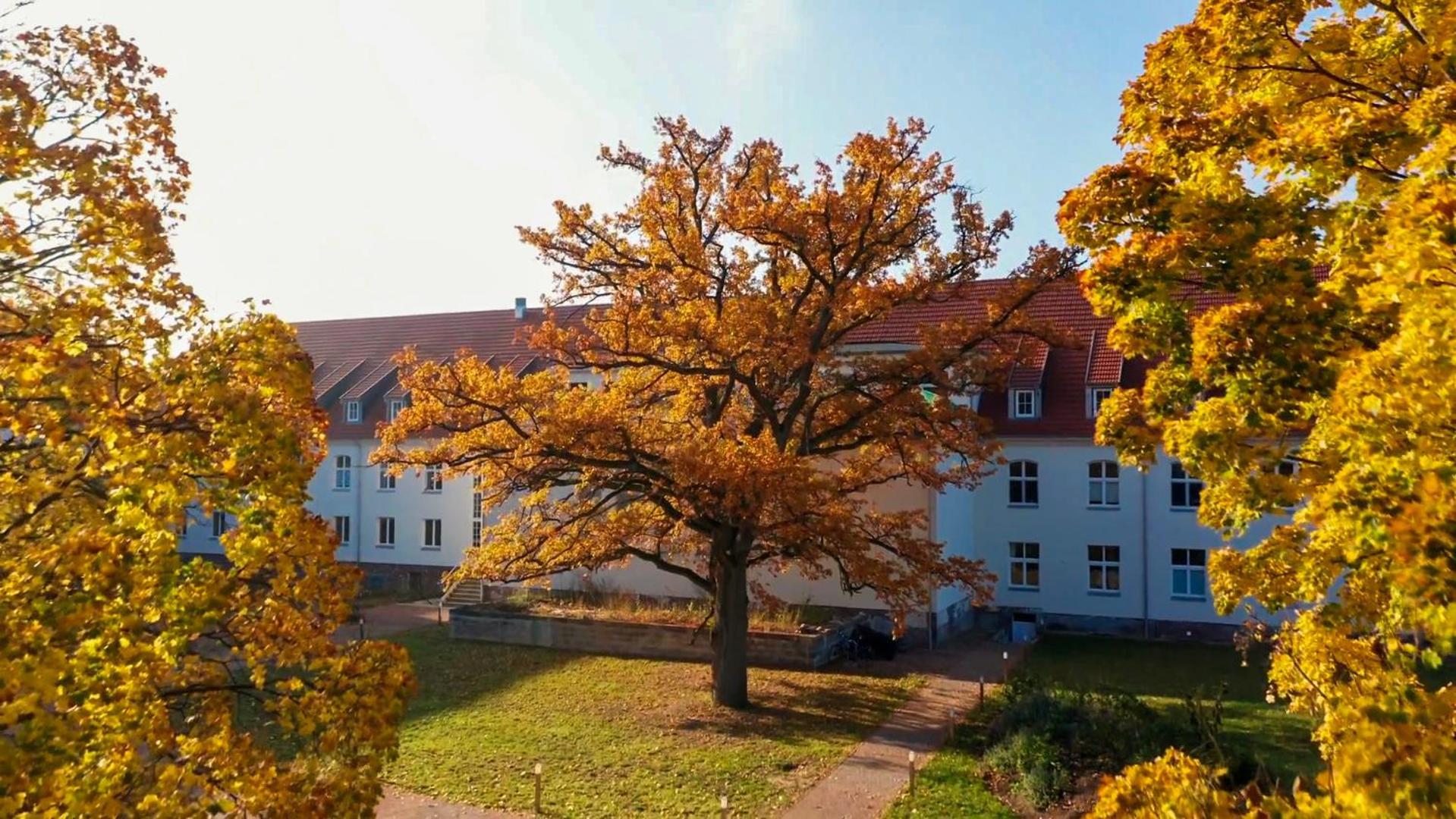 Parkresidenz Lychen, Ferienwohnung 8 المظهر الخارجي الصورة