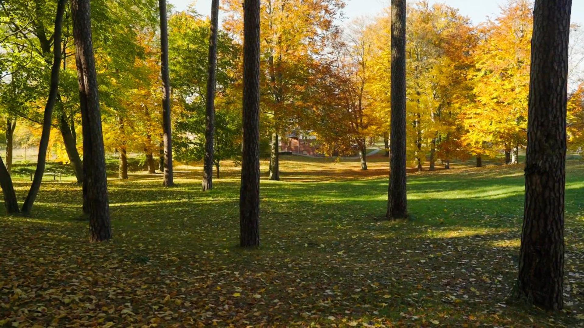 Parkresidenz Lychen, Ferienwohnung 8 المظهر الخارجي الصورة