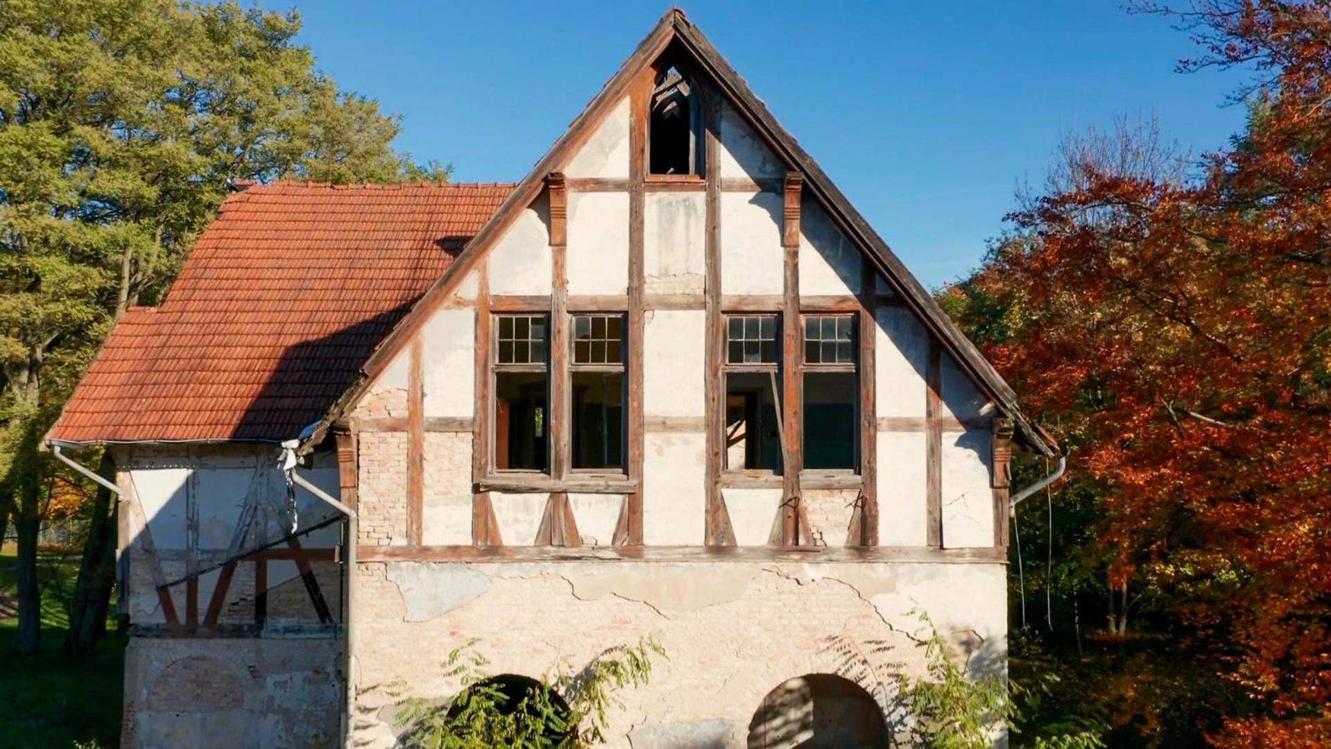 Parkresidenz Lychen, Ferienwohnung 8 المظهر الخارجي الصورة